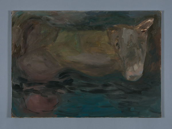 Cow