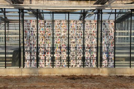 Mural/Installation Gärtnerei Berlin-Zehlendorf