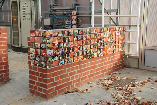 Untitled/Installation Gärtnerei Berlin-Zehlendorf