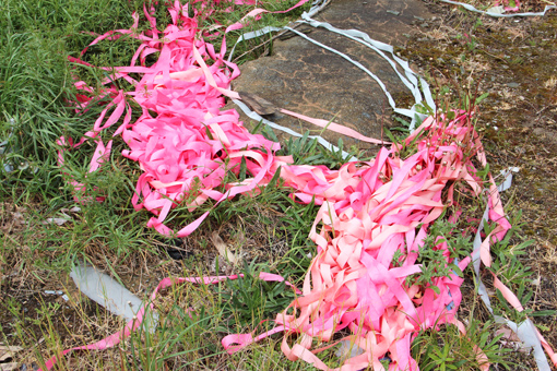 Pink Ribbon II
