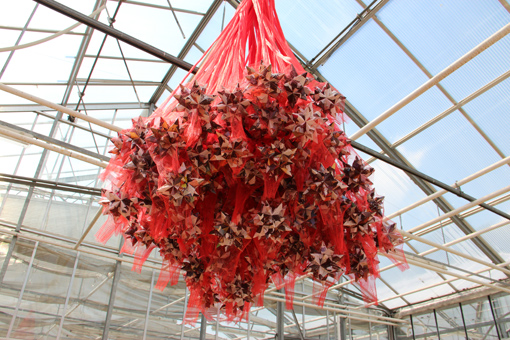 Untitled/Installation Gärtnerei Berlin-Zehlendorf